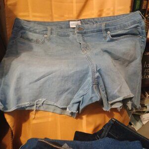Crown & Ivy Denim Shorts with Ragged hem 22W